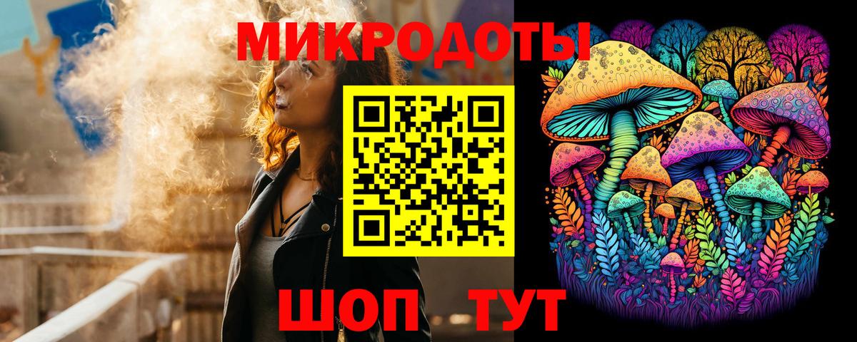 Галлюциногенные грибы Psilocybe Калач-на-Дону