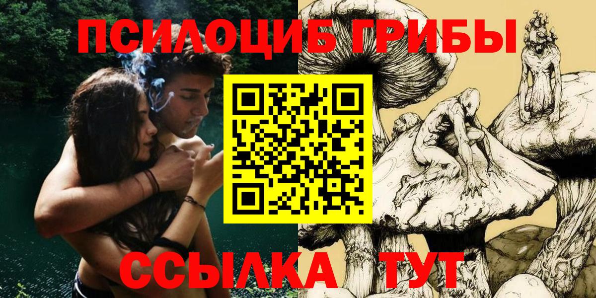Галлюциногенные грибы Psilocybine cubensis  купить   Калач-на-Дону  Вход с VPN 